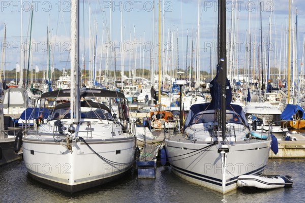 Two sailing ships in the marina, forest of masts, harbour road, harbour island, old town, Hanseatic city of Stralsund, Mecklenburg-Western Pomerania, Germany