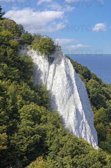View from Victoria-Sicht to the Königstuhl, chalk cliffs, chalk, wooded, beech forest, forest, sea, cliff, cliff, chalk coast, Jasmund Peninsula, National Park, Unesco World Heritage Site, Rügen Island, Baltic Sea, Mecklenburg-Western Pomerania, Germany