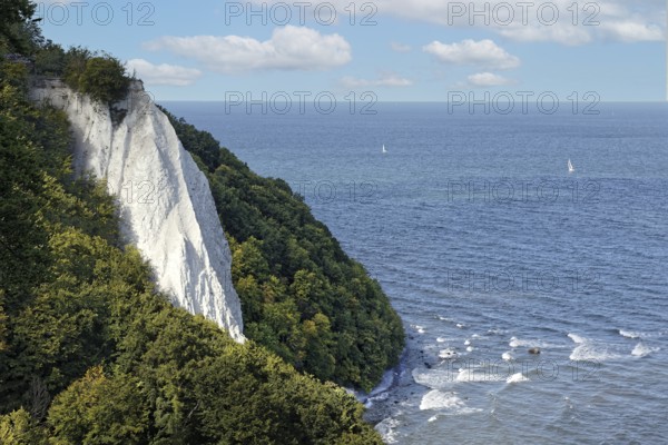 Königstuhl, chalk cliffs, chalk, wooded, beech forest, forest, sea, steep coast, cliff, chalk coast, Jasmund Peninsula, national park, Unesco World Heritage Site, Rügen Island, Baltic Sea, Mecklenburg-Western Pomerania, Germany