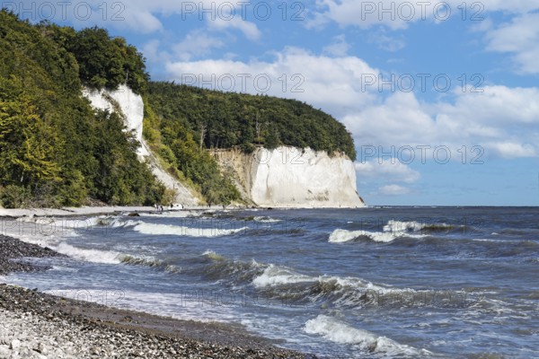 Chalk cliffs, chalk, wooded, beech forest, forest, pebble beach, surf, surf waves, steep coast, chalk coast, cliff, coast near Sassnitz, Jasmund peninsula, national park, national park, Unesco World Heritage Site, island of Rügen, Mecklenburg-Western Pomerania, Germany