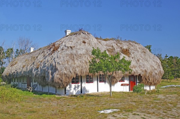 A traditional house covered with seaweed under a clear blue sky in a rural setting, Læsø, Jutland, Kattegat, Denmark