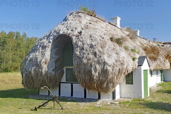 A small seaweed-roofed house with green shutters and an anchor against a natural backdrop, Læsø, Jutland, Kattegat, Denmark