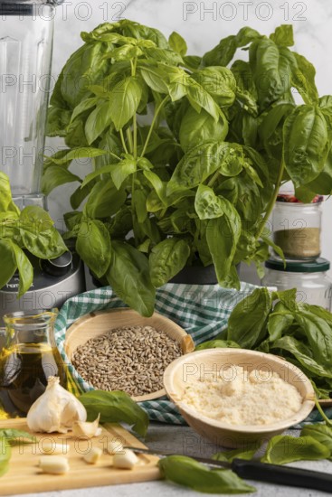 Basil next to a blender, with bowls full of pesto ingredients such as sunflower seeds, garlic and Parmesan cheese