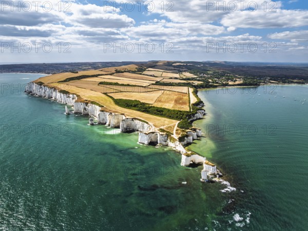 White Cliffs of Old Harry Rocks Jurassic Coast from a drone, Handfast Point, Dorset Coast, Poole, Dorset, England, United Kingdom