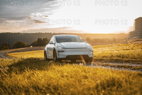White car on a path surrounded by a wide meadow at sunset, Tesla Model Y Juniper, electric car