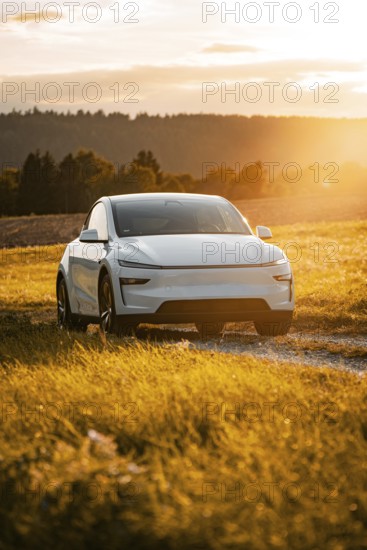 White car on a narrow road in a golden landscape at sunset, Tesla Model Y Juniper, electric car