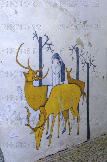 Gmünd, Lieser Valley, Carinthia, Austria