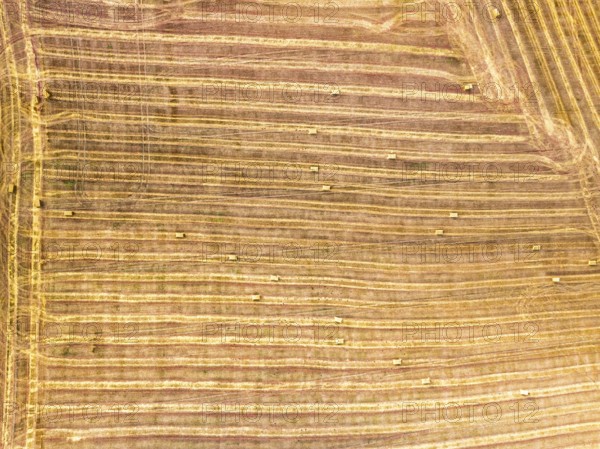 Top Down over Fields from a drone, Torquay, Devon, England, United Kingdom