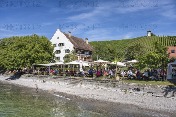 Ein Biergarten am Bodenseeufer mit dem historischen Fachwerkbau vom Rebgut Haltnau bei Meersburg, rechts der dazugehörige Weinberg mit dem historischen Winzerturm, Bodensee, Bodenseekreis, Baden-Württemberg, Deutschland