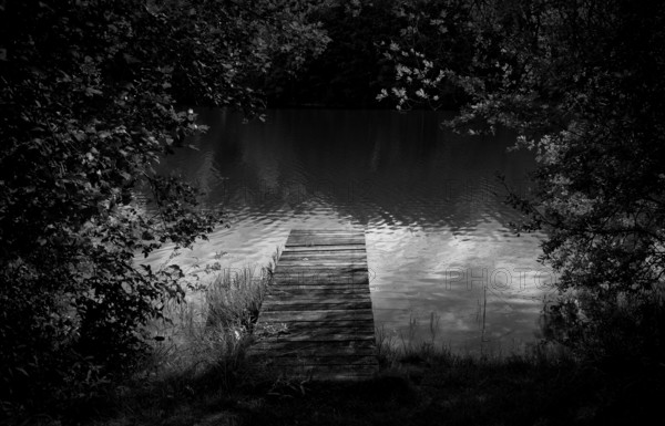 Bathing jetty, jetty, wooden jetty, jetty, leads into a lake, bathing lake, Schwaltenweiher near Seeg, black and white, Allgäu Alps, East Allgäu, Allgäu, Swabia, Bavaria, Germany
