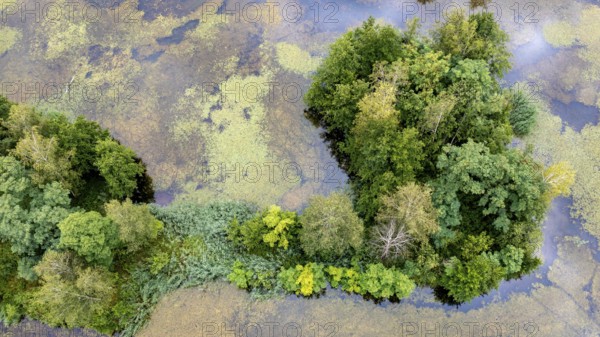 Aerial view, islands in the Drau, river, Brenndorf bird sanctuary, Carinthia, Austria