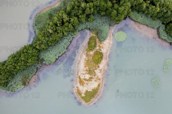 Aerial view, islands in the Drau, river, Carinthia, Austria