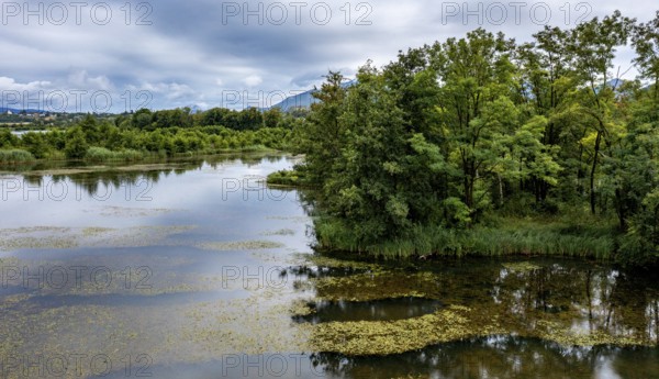 Brenndorf bird sanctuary, Drau riverbank, river, Carinthia, Austria