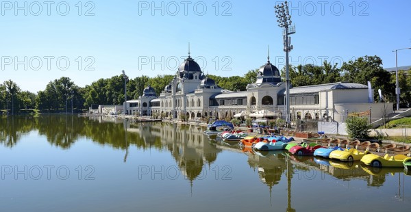 Colorful paddle boats are lined up on the shore of a lake, with a grand building and lush trees in the background, reflecting in the calm water of city park in budapest