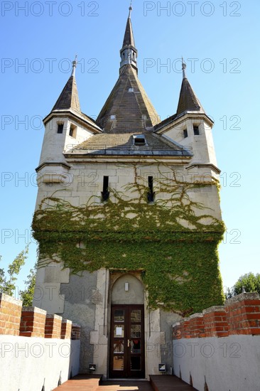 Medieval architecture of vajdahunyad castle in budapest, featuring a tower covered in climbing ivy, set against a clear blue sky