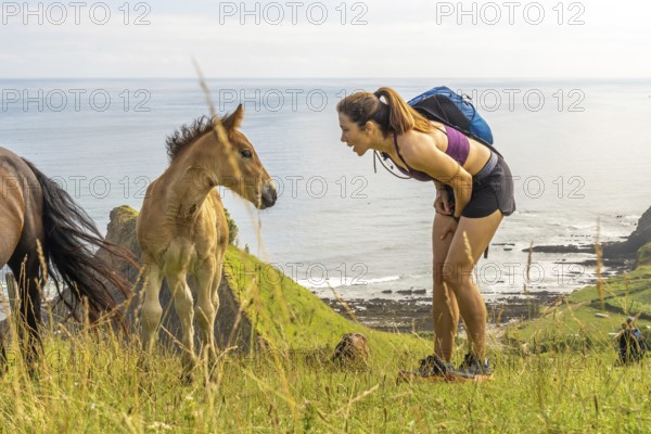 Hiker interacting with a foal on a cliff overlooking sakoneta beach and its flysch in zumaia, gipuzkoa, basque country