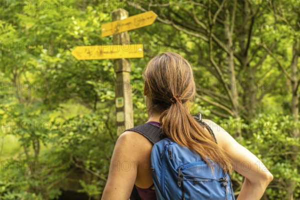 Female hiker contemplating directions on a wooden signpost, surrounded by the vibrant greenery of a forest near sakoneta beach in zumaia, basque country, spain