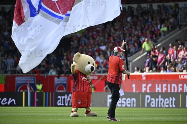 Mascot Paule 1. FC Heidenheim 1846 FCH flag waving Voith-Arena, Heidenheim, Baden-Württemberg, Germany