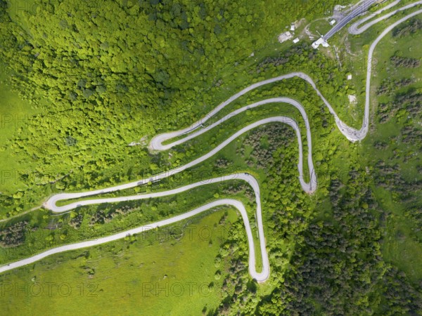 Aerial view of a serpentine road winding through a green, wooded landscape, aerial view, road H52 above a tunnel, Dilijan, Dilijan, Delijan, Delijan, Dilijan National Park, Tavush Province, Tavush, Tavush, Armenia