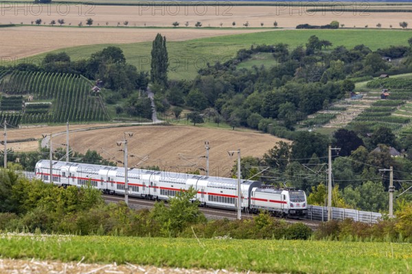 Enztal bridge with InterCity. Double-track railway overpass of the high-speed line from Mannheim to Stuttgart with a length of 1044 metres // 24.08.2025: Vaihingen an der Enz, Baden-Württemberg, Germany