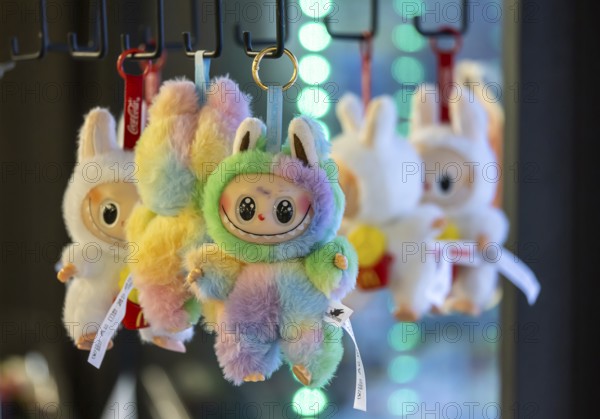 Labubu cuddly toy figure from China. There is a real hype surrounding the toy. Stuttgart, Baden-Württemberg, Germany
