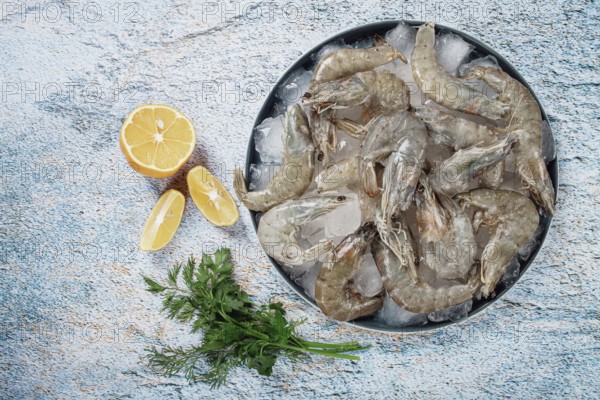 Fresh raw shrimp, spread on ice with lemon and cilantro slices on a marble surface, ready to cook, no people