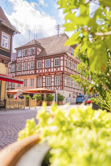 Half-timbered houses in the sunshine with flowers in the foreground, small town of Perle Calw, Black Forest, Germany
