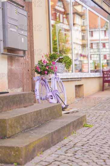 A purple bicycle is decoratively placed with flowers on a stone staircase, small town of Perle Calw, Black Forest, Germany