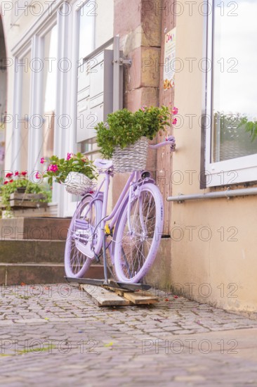 A purple bicycle with a basket full of flowers in front of the windows of an old house, small town of Perle Calw, Black Forest, Germany