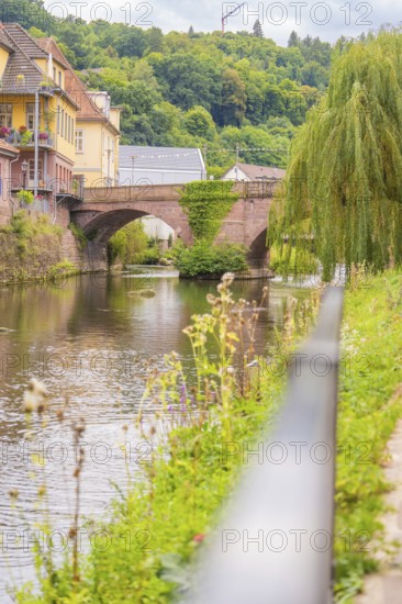River with stone bridge and houses along the bank, surrounded by green nature, small town pearl Calw, Black Forest, Germany