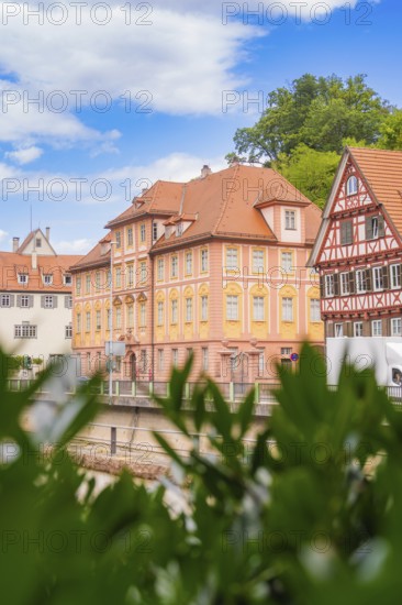 Half-timbered houses with gables under a blue sky, framed by green vegetation, small town of Perle Calw, Black Forest, Germany