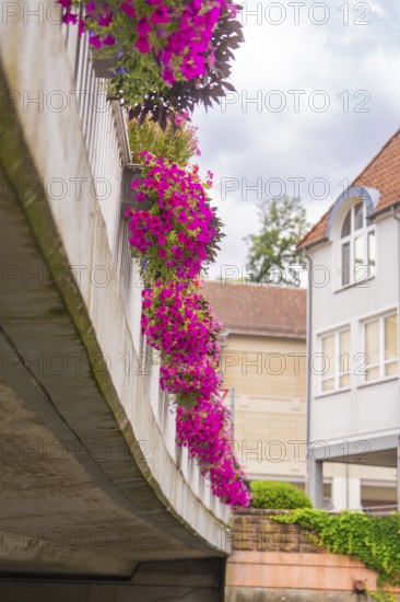 Flowers hanging from a bridge over a road, buildings in the background, small town of Perle Calw, Black Forest, Germany