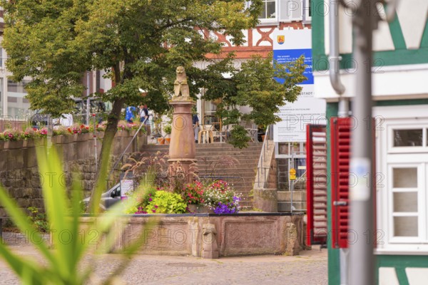 Cosy area with fountain and half-timbered view on summer day, small town Perle Calw, Black Forest, Germany