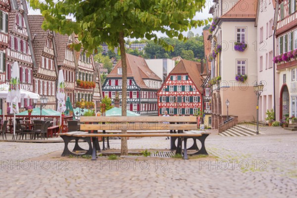Quiet, picturesque half-timbered street with benches under trees, small town pearl Calw, Black Forest, Germany