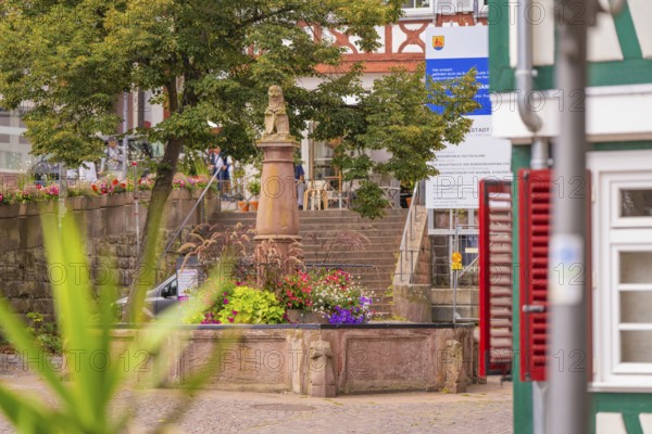 Fountain with flower arrangement in front of historical buildings and stairs in the background, small town Perle Calw, Black Forest, Germany