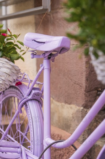 Close-up of pink bicycle with flowers, summer mood and blooming elements, small town pearl Calw, Black Forest, Germany