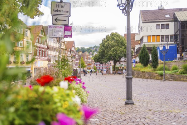 Cobbled street with colourful flowers and historic half-timbered houses, small town of Perle Calw, Black Forest, Germany