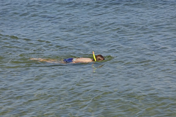 Little boy snorkelling in the sea, Kiel Fjord, Falckenstein, Kiel, Schleswig-Holstein, Germany