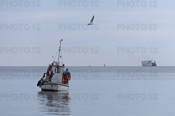 Fishing boat off Falckenstein beach, seagull, ferry, Kiel Fjord, Kiel, Schleswig-Holstein, Germany