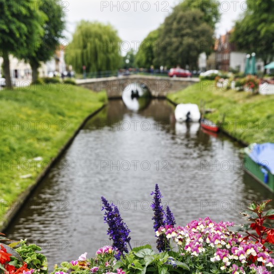 View over flower decoration on Mittelburggraben, blurred, Old Town, Friedrichstadt, Germany