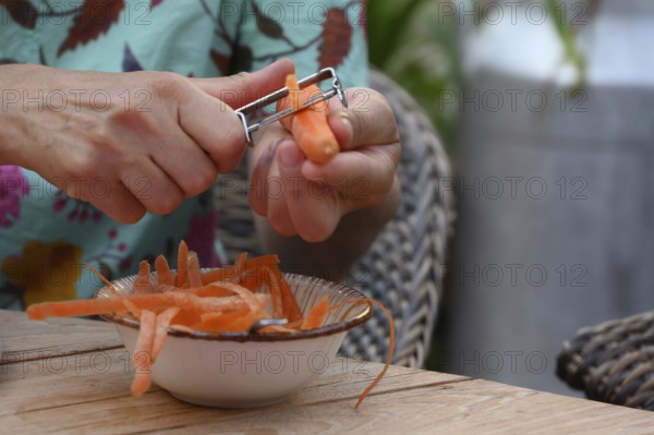 Fresh carrots are peeled, Bavaria, Germany
