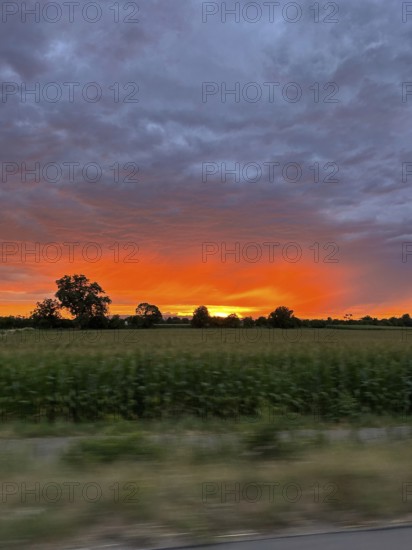 Sunset over the Vosges in Alsace, photographed from a moving car, Freiburg Baden-Württemberg, Germany