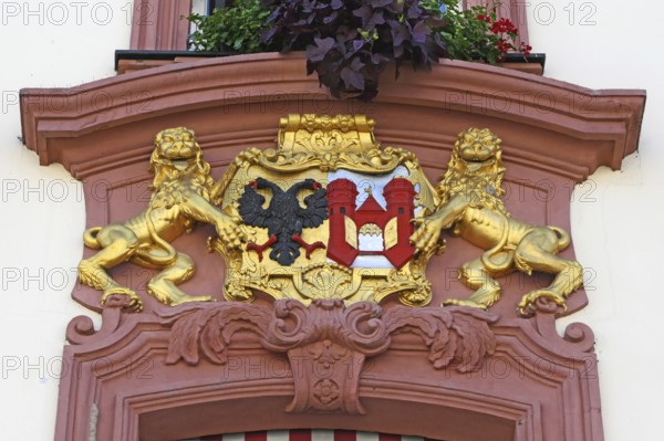 Golden city coat of arms with lion figure on the town hall, Offenburg, Baden-Württemberg, Germany