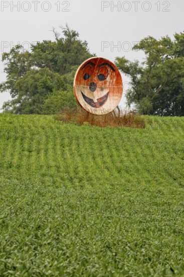 New Troy, Michigan - An old satellite dish converted to a grinning face on a farm in southwest Michigan