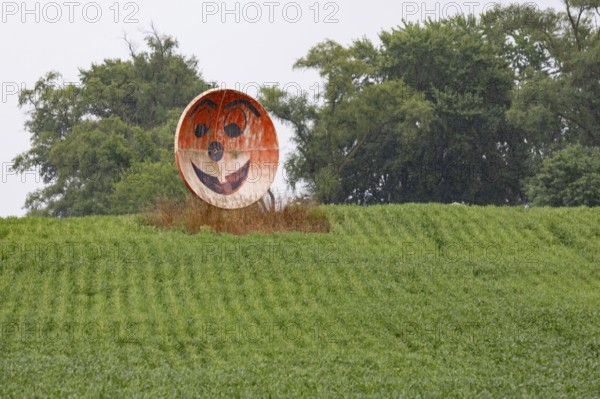 New Troy, Michigan - An old satellite dish converted to a grinning face on a farm in southwest Michigan
