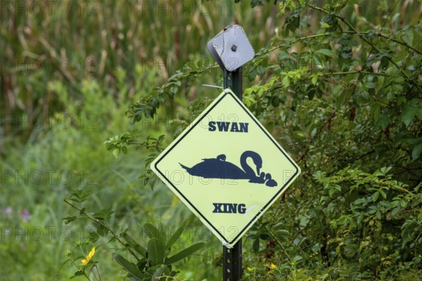 Berrien Springs, Michigan - A sign announces a swan crossing in a wetland area of rural Michigan