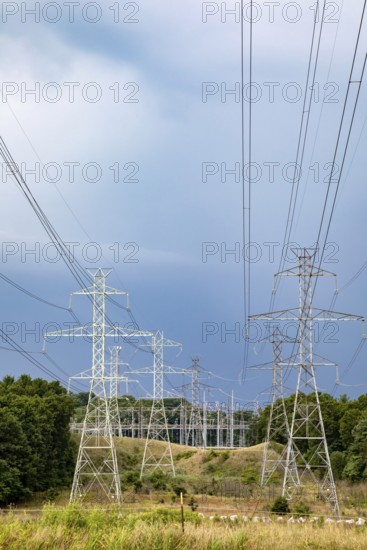 Bridgman, Michigan - High voltage power lines carry electricity from the Donald C. Cook Nuclear Plant on Lake Michigan