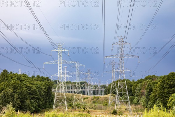 Bridgman, Michigan - High voltage power lines carry electricity from the Donald C. Cook Nuclear Plant on Lake Michigan