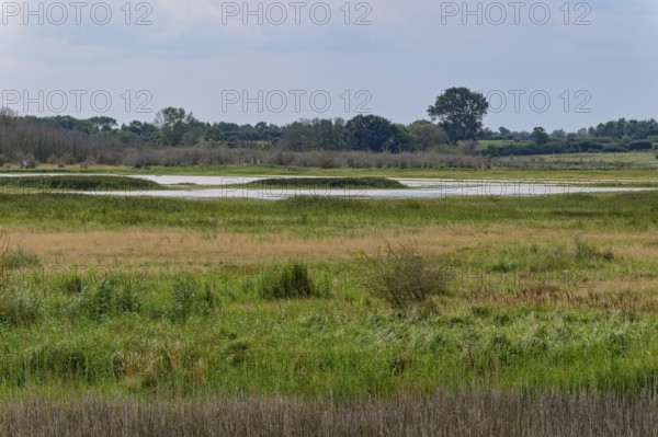 Heath, water areas, marshes, forests, salt marshes and dunes characterise the landscape in the Geltinger Birk nature reserve. Gelting, Schleswig-Holstein, Germany
