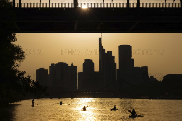 The evening sun stands over the Frankfurt banking skyline while paddlers and rowers navigate the Main, Frankfurt am Main, Hesse, Germany